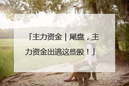 主力资金｜尾盘，主力资金出逃这些股！