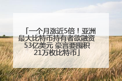 一个月涨近5倍！亚洲最大比特币持有者欲融资53亿美元 豪言要囤积21万枚比特币