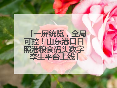 一屏统览，全局可控！山东港口日照港粮食码头数字孪生平台上线