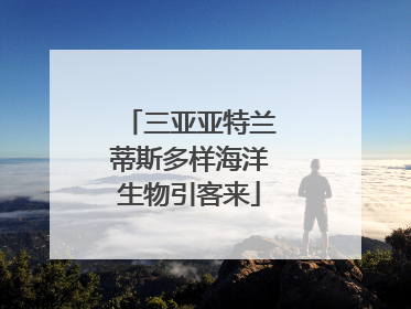 三亚亚特兰蒂斯多样海洋生物引客来