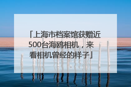 上海市档案馆获赠近500台海鸥相机，来看相机曾经的样子