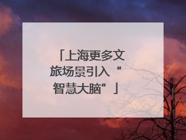 上海更多文旅场景引入“智慧大脑”