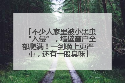 不少人家里被小黑虫“入侵”，墙壁窗户全部爬满！一到晚上更严重，还有一股臭味