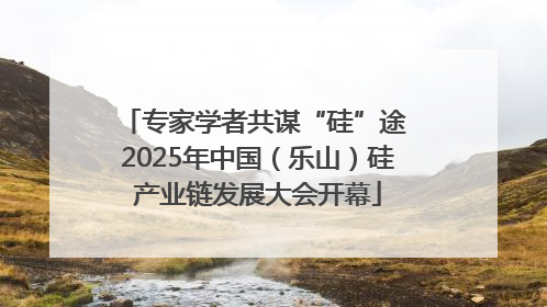 专家学者共谋“硅”途 2025年中国（乐山）硅产业链发展大会开幕