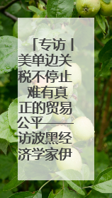 专访丨美单边关税不停止 难有真正的贸易公平——访波黑经济学家伊戈尔