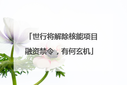 世行将解除核能项目融资禁令，有何玄机