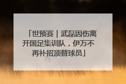 世预赛｜武磊因伤离开国足集训队，伊万不再补招顶替球员