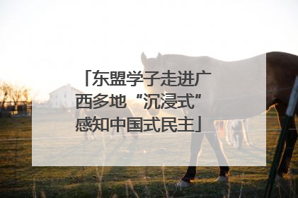 东盟学子走进广西多地“沉浸式”感知中国式民主