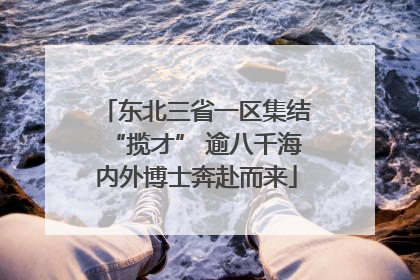 东北三省一区集结“揽才” 逾八千海内外博士奔赴而来