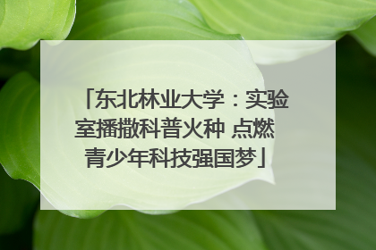 东北林业大学：实验室播撒科普火种 点燃青少年科技强国梦