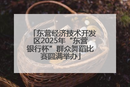 东营经济技术开发区2025年“东营银行杯”群众舞蹈比赛圆满举办