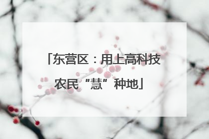 东营区：用上高科技 农民“慧”种地