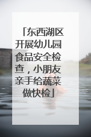 东西湖区开展幼儿园食品安全检查，小朋友亲手给蔬菜做快检