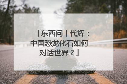 东西问丨代辉：中国恐龙化石如何对话世界？