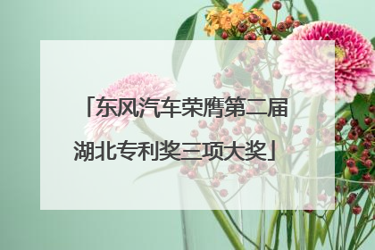 东风汽车荣膺第二届湖北专利奖三项大奖