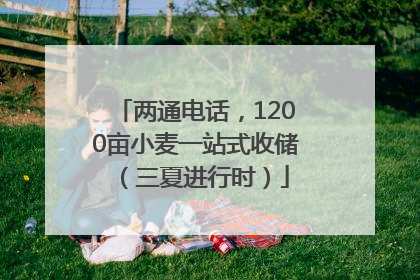 两通电话，1200亩小麦一站式收储（三夏进行时）