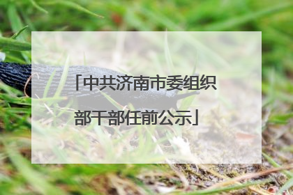 中共济南市委组织部干部任前公示