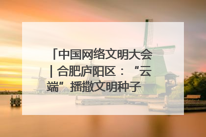 中国网络文明大会｜合肥庐阳区：“云端”播撒文明种子 共建清朗网络空间
