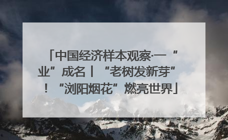 中国经济样本观察·一“业”成名丨“老树发新芽”！“浏阳烟花”燃亮世界