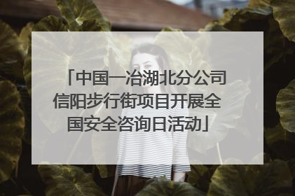 中国一冶湖北分公司信阳步行街项目开展全国安全咨询日活动