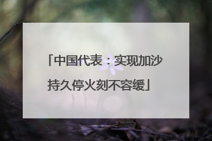 中国代表：实现加沙持久停火刻不容缓