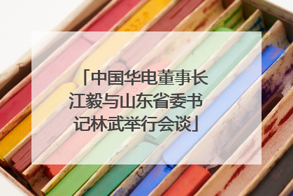 中国华电董事长江毅与山东省委书记林武举行会谈