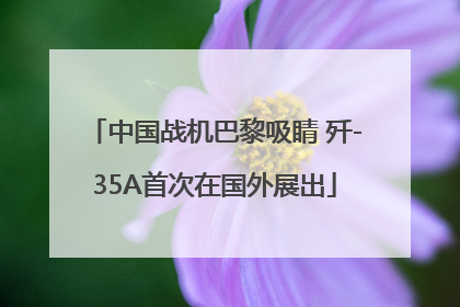中国战机巴黎吸睛 歼-35A首次在国外展出