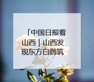 中国日报看山西｜山西发现东方白鹳筑巢繁殖