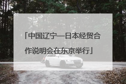 中国辽宁—日本经贸合作说明会在东京举行