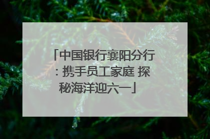 中国银行襄阳分行：携手员工家庭 探秘海洋迎六一