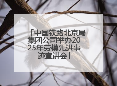 中国铁路北京局集团公司举办2025年劳模先进事迹宣讲会