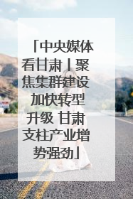 中央媒体看甘肃丨聚焦集群建设 加快转型升级 甘肃支柱产业增势强劲