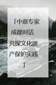 中意专家成都对话 共探文化遗产保护实践