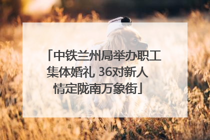 中铁兰州局举办职工集体婚礼 36对新人情定陇南万象街