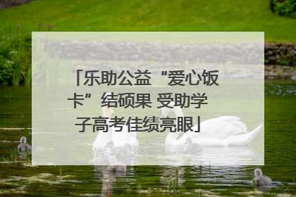乐助公益“爱心饭卡”结硕果 受助学子高考佳绩亮眼