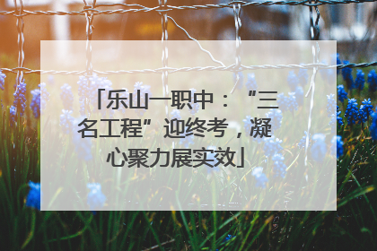 乐山一职中：“三名工程”迎终考，凝心聚力展实效