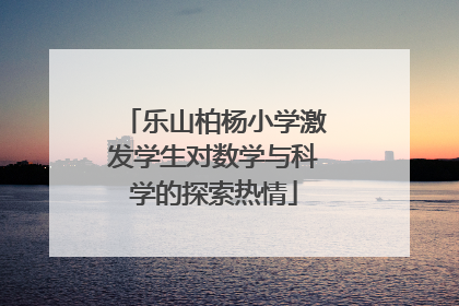 乐山柏杨小学激发学生对数学与科学的探索热情
