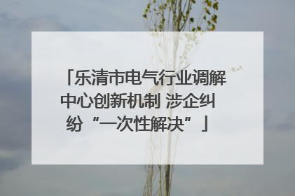 乐清市电气行业调解中心创新机制 涉企纠纷“一次性解决”
