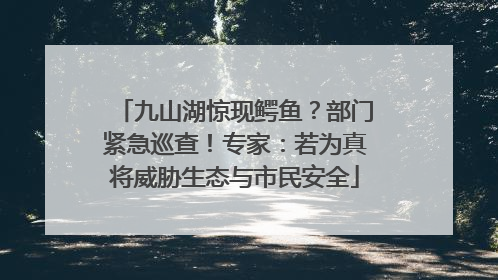 九山湖惊现鳄鱼？部门紧急巡查！专家：若为真将威胁生态与市民安全