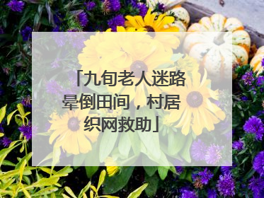 九旬老人迷路晕倒田间，村居织网救助