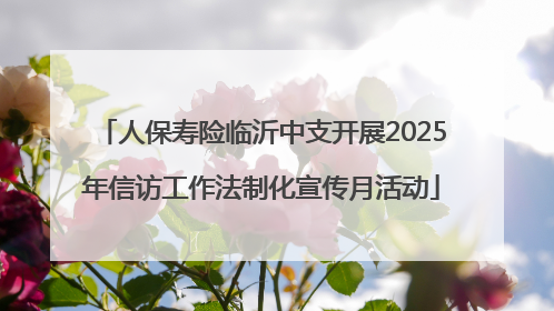 人保寿险临沂中支开展2025年信访工作法制化宣传月活动