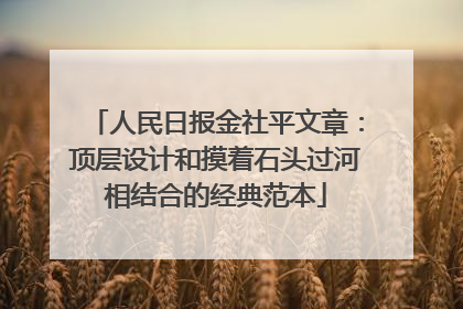 人民日报金社平文章：顶层设计和摸着石头过河相结合的经典范本