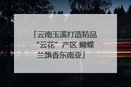 云南玉溪打造精品“云花”产区 蝴蝶兰飘香东南亚