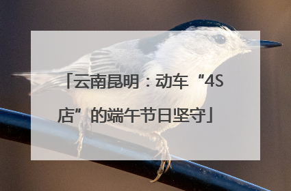 云南昆明：动车“4S店”的端午节日坚守