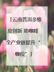云南普洱多维度创新 助咖啡全产业链提升“咖位”