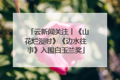 云新闻关注丨《山花烂漫时》《边水往事》入围白玉兰奖
