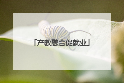 产教融合促就业