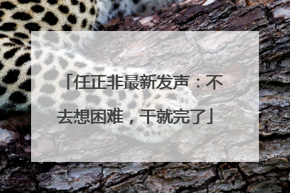 任正非最新发声：不去想困难，干就完了
