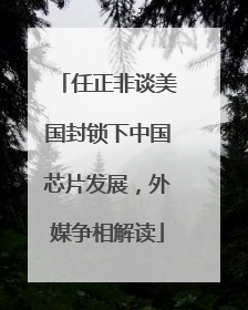任正非谈美国封锁下中国芯片发展，外媒争相解读