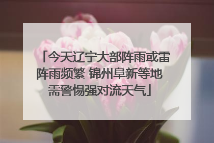 今天辽宁大部阵雨或雷阵雨频繁 锦州阜新等地需警惕强对流天气